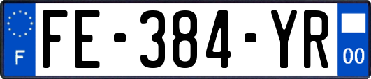 FE-384-YR