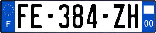 FE-384-ZH