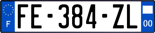 FE-384-ZL