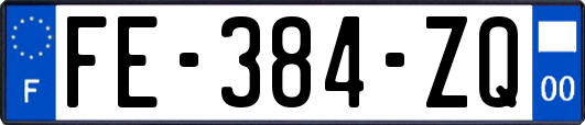 FE-384-ZQ