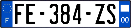 FE-384-ZS