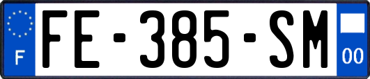 FE-385-SM