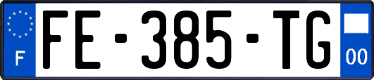 FE-385-TG