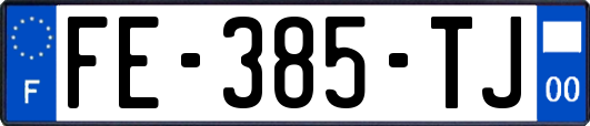 FE-385-TJ