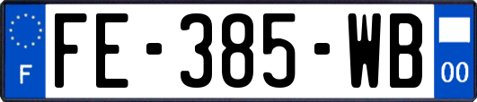 FE-385-WB