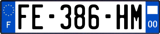 FE-386-HM