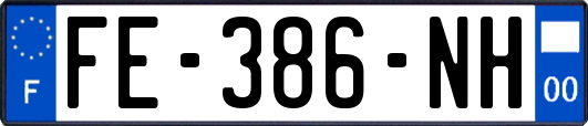 FE-386-NH