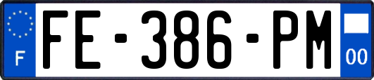 FE-386-PM