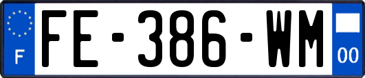 FE-386-WM