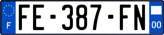 FE-387-FN