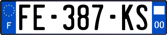 FE-387-KS