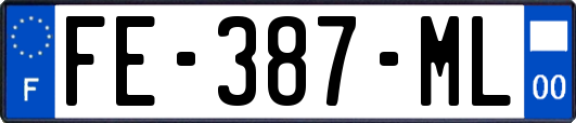 FE-387-ML