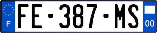 FE-387-MS