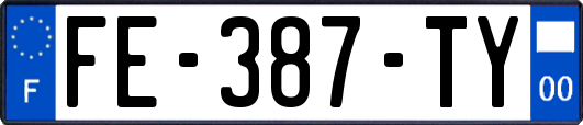 FE-387-TY