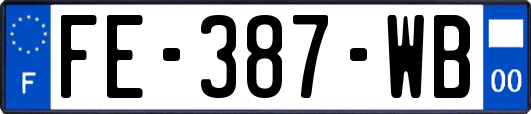 FE-387-WB