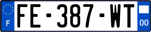 FE-387-WT