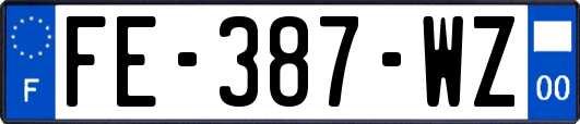 FE-387-WZ