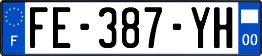 FE-387-YH