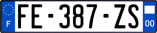 FE-387-ZS