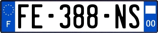 FE-388-NS