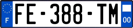 FE-388-TM
