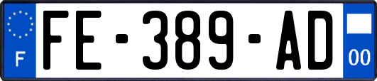 FE-389-AD