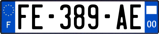 FE-389-AE