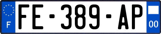 FE-389-AP