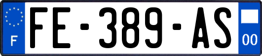 FE-389-AS