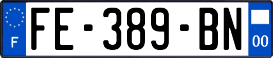 FE-389-BN