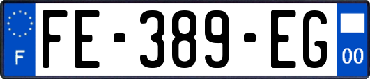 FE-389-EG