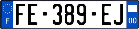 FE-389-EJ