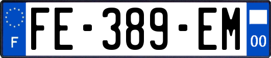 FE-389-EM