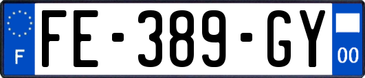FE-389-GY