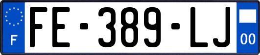 FE-389-LJ