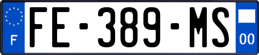 FE-389-MS