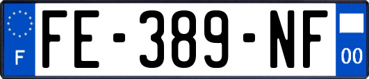 FE-389-NF