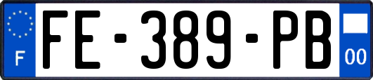 FE-389-PB