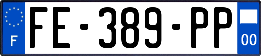 FE-389-PP
