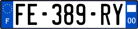 FE-389-RY