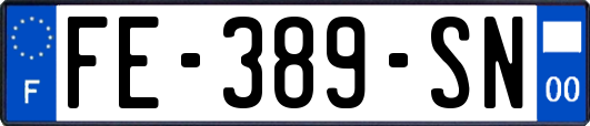 FE-389-SN