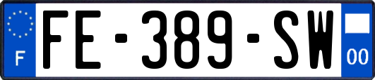 FE-389-SW