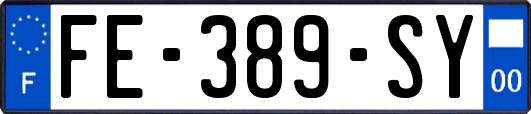 FE-389-SY