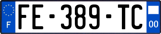 FE-389-TC