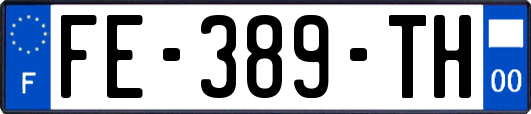 FE-389-TH
