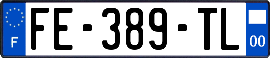 FE-389-TL