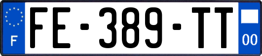FE-389-TT