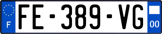 FE-389-VG