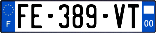 FE-389-VT
