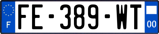 FE-389-WT